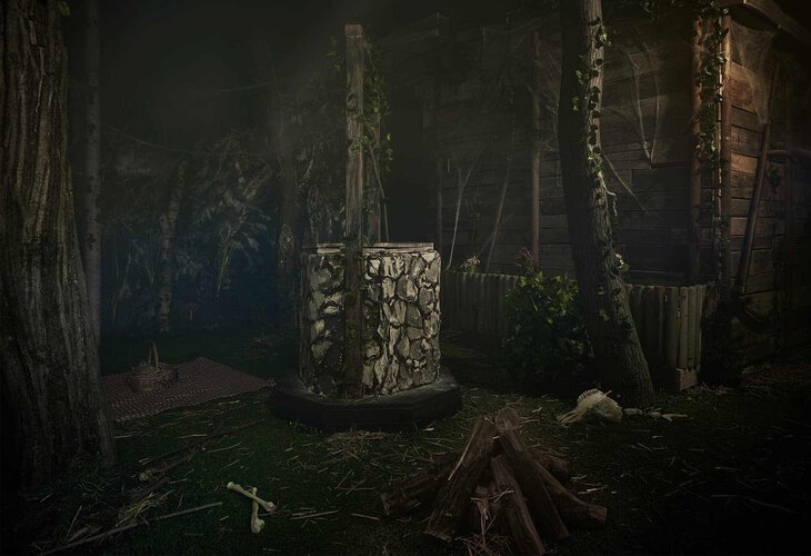 Cabin in the woods